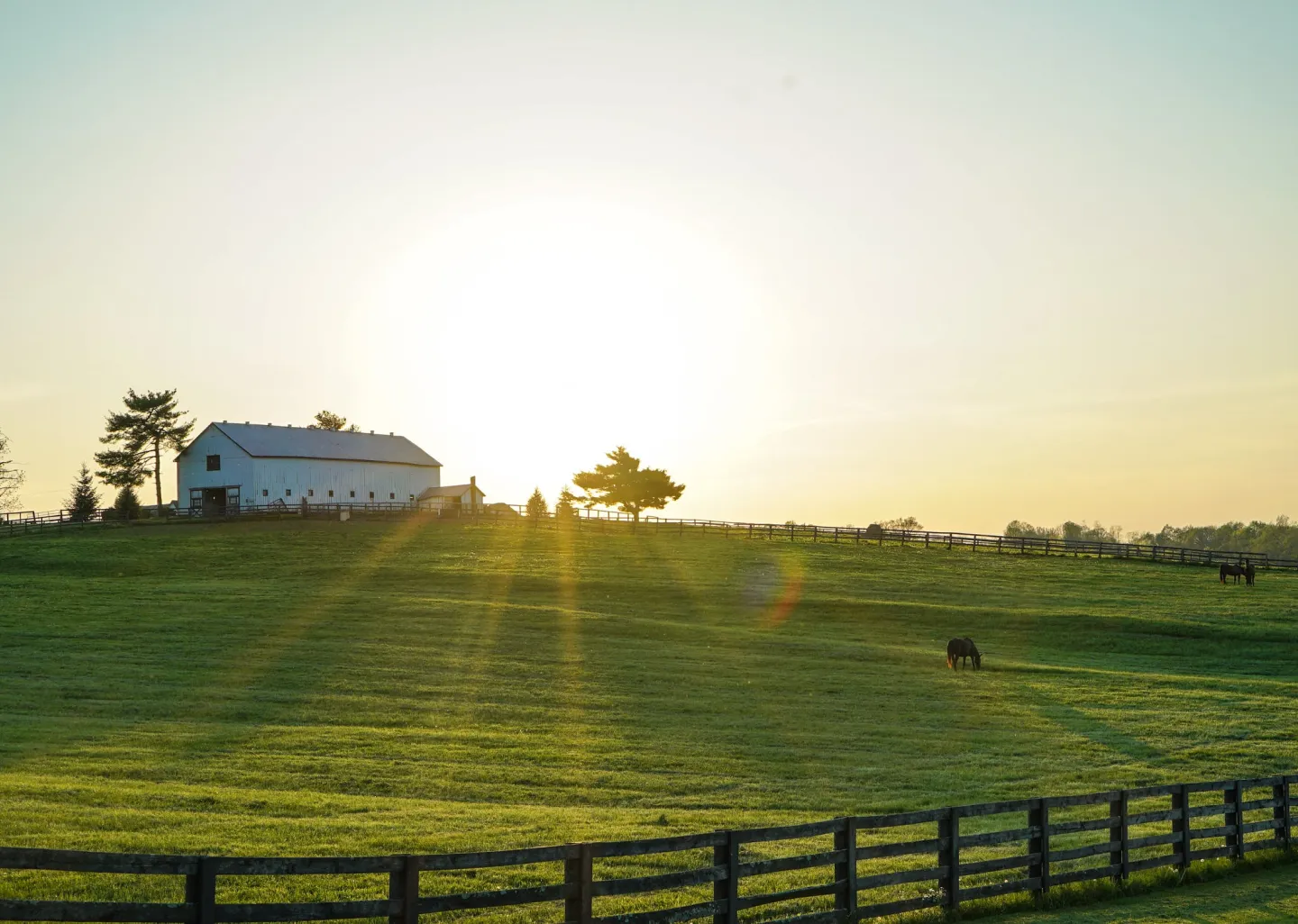 Plataforma Agropago mostrando a facilidade de realizar pagamentos