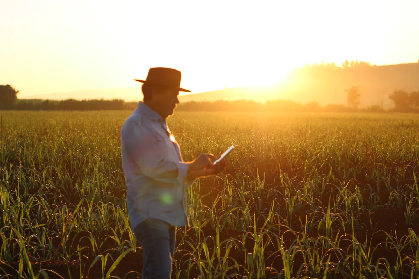 Interface intuitiva do Agropago mostrando o processo simplificado de pagamento e gestão de transações pecuárias